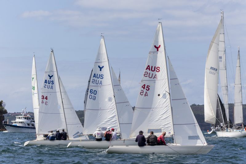 SHR2021 Ynglings NSW Championship credit Andrea Francolini  1 