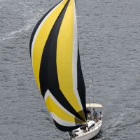 2022 01 15 Chaos and Bedlam MF11353  1 