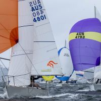 3 Ace and Innamincka Andrea Francolini Photo SydHarbReg2024 0325