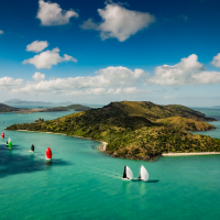 Hamilton Island Race Week    Salty Dingo 2024 CG  8