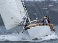 Pretty Solveig won the 2024 Classics   Andrea Francolini  MHYC pic
